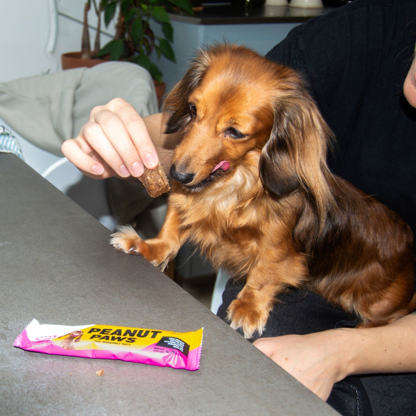 PEANUT PAWS (Case of 12)