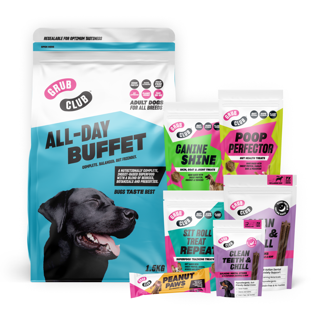 Retail Starter Bundle