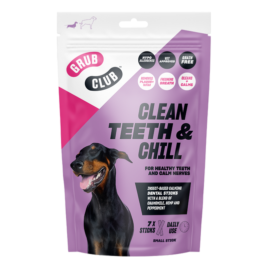 CLEAN TEETH & CHILL (SMALL) (Case of 12)