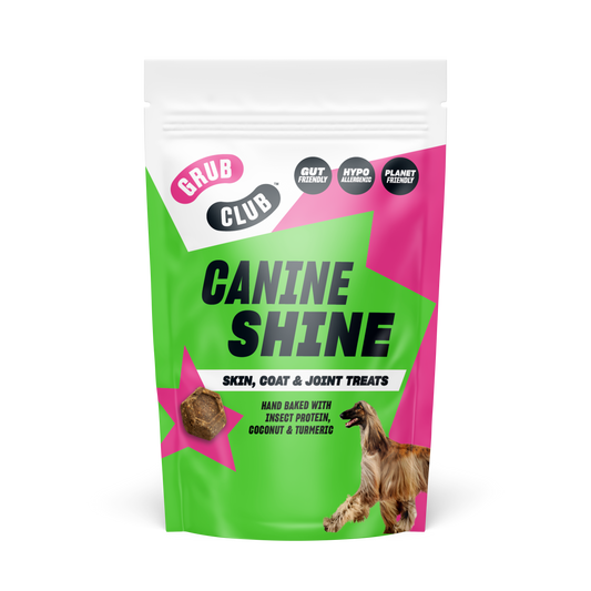 CANINE SHINE (Case of 10)