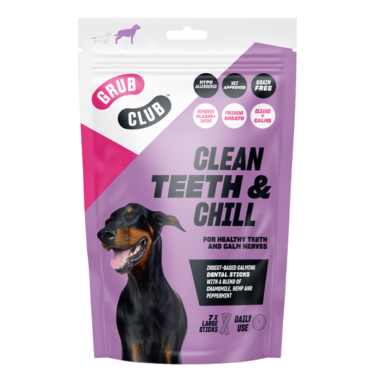 CLEAN TEETH & CHILL (LARGE) (Case of 10)