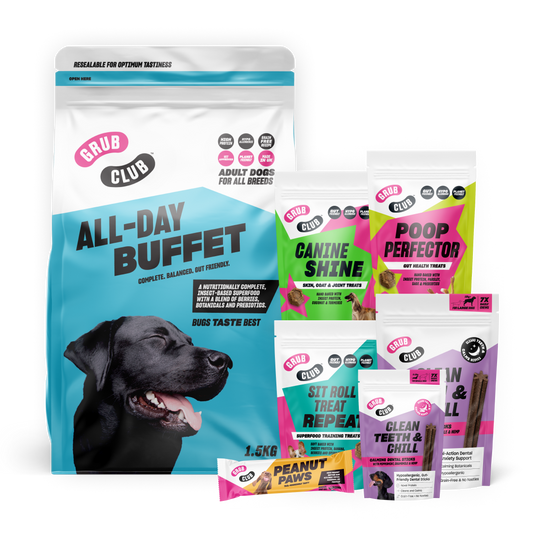 Retail Starter Bundle
