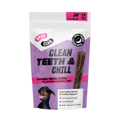 CLEAN TEETH & CHILL (LARGE) (Case of 10)