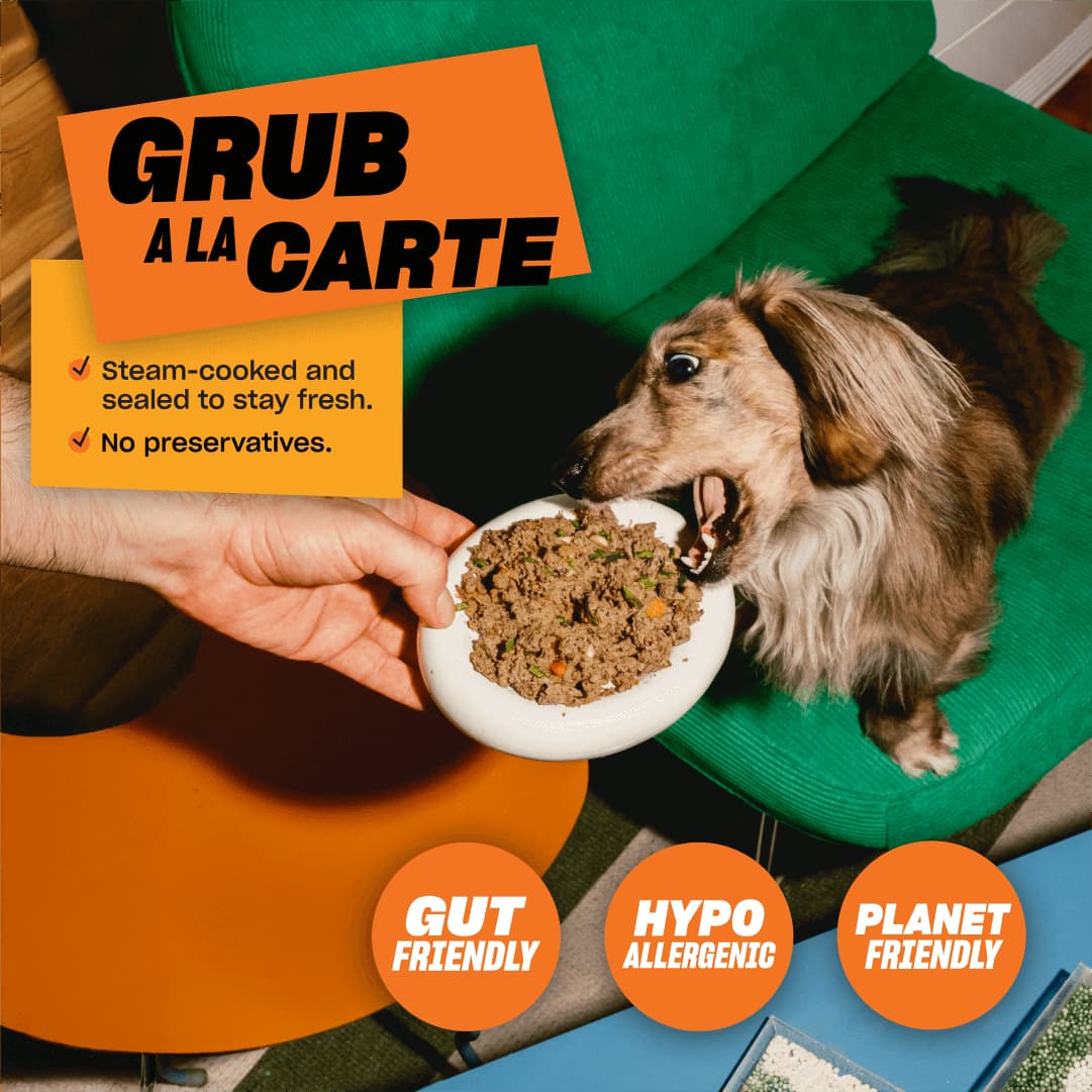 HEARTY HOTPOT (Case of 12)