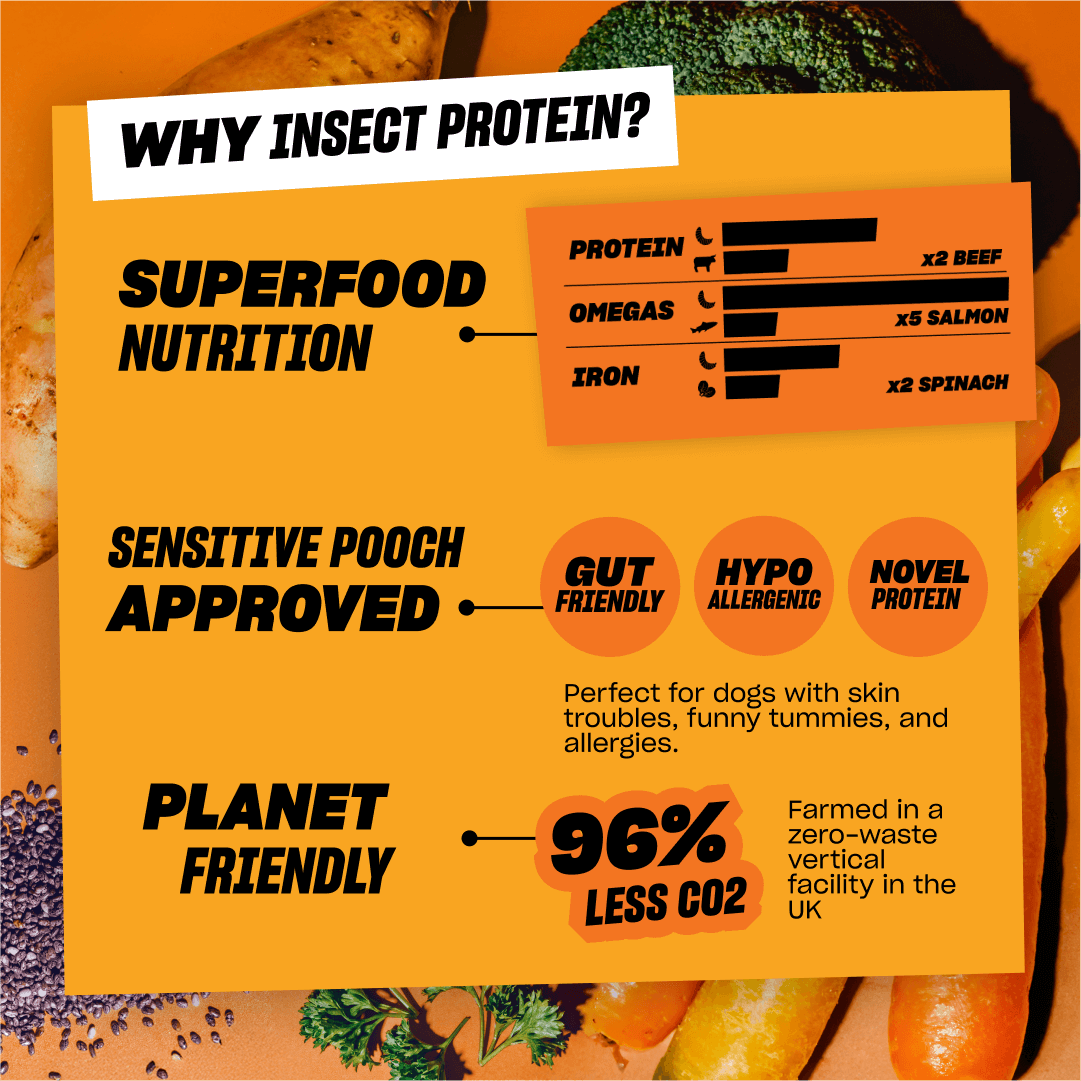 HEARTY HOTPOT (Case of 12)