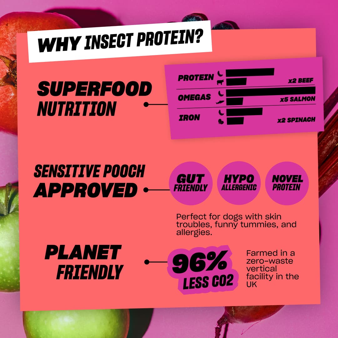 SUPERFOOD SUPPER (Case of 12)